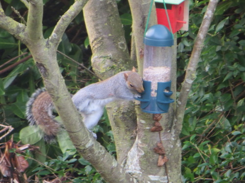 10-12-14 09-12-36 - 0003