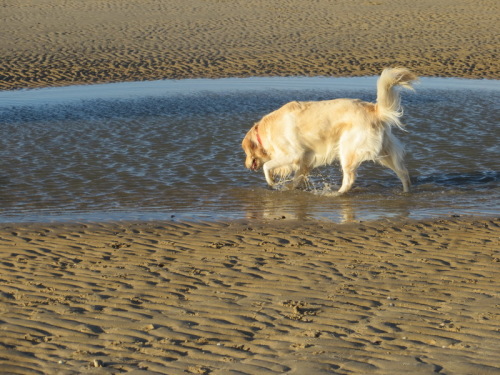 11-12-14 09-40-19 - 0004