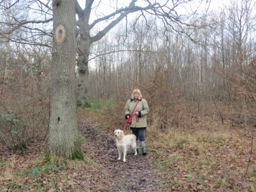 20-12-14 15-13-22 - 0002