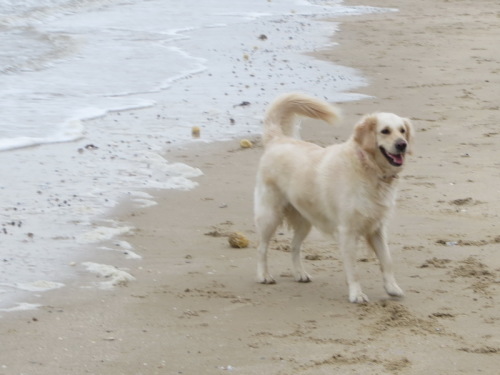 24-12-14 11-18-40 - 0008