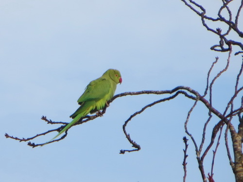 28-11-14 09-45-48 - 0003