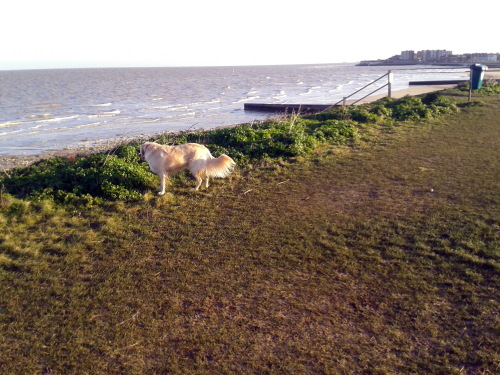 Sunny but cold!