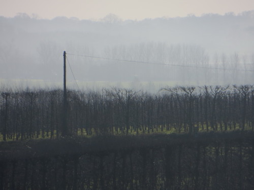 2016-02-16 11-39-12 - 0010