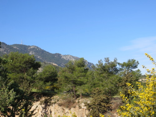 2016-03-08 07-33-50 - 0009