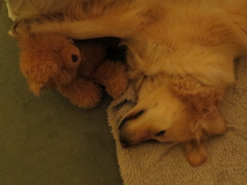 2016-12-02 06-54-20 - IMG_0416