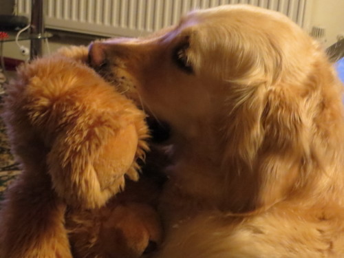 2016-12-04 19-41-16 - IMG_0455