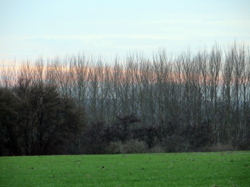 2016-12-07 16-39-13 - IMG_0477